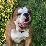 Sandra Hawk Morris - @hawkmorris - Instagram