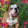 sandrahawkmorris - @sandrahawkmorris - TikTok