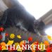 Sandra Heatherly - Facebook
