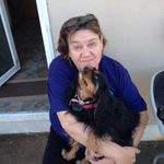 Sandra Patten - @sandraheffernanpatten - Instagram