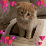 Sandra Heidi - Facebook