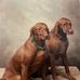 Sandra Heidt - Facebook