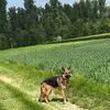 sandraheiser - @sandraheiser - TikTok
