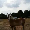 Sandra Hellmann - @sandra.hellmann - TikTok