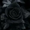 Sandra Helm - @sandrahelm0 - TikTok