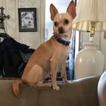 Sandra hembree - @hembree877 - Instagram