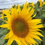 Sandra Hempel - @hempel479 - Instagram