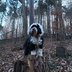 Sandra Hempel Geboren Ebenhöh - @hempelgeborenebenhoh - Instagram
