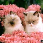 Ka Sandra Hendrickson - @hendricksonkasandra - Instagram