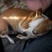 Sandra Hendrickson - Facebook