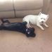 Sandra Hennessy - Facebook