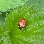 Sandra Herling-Glasow - @sandrulle73 - Instagram