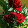 Sandra Herrera😘🥺😣🇬🇹👯‍♀️ - @sandra.herrera5429 - TikTok