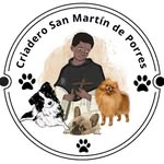 Sandra Herrera - @criadero_san_martin_de_porres - Instagram