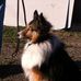 Sandra Hewett - Facebook
