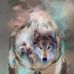 Sandra Stewart Highlander - Facebook