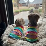 Sandra Higley - @send2higley - Instagram