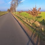 Sandra Hinrichs - @sanni751 - Instagram