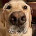 Sandra Hinrichs - Facebook