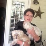 Sandra Hinrichs - @sehinrichs1122 - Instagram