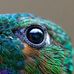 Sandra Hislop - Facebook