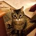 Sandra Hoch - Facebook