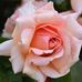 Sandra Hohenstein - Facebook
