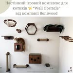 Sandra Holcomb - @rijnteral - Instagram