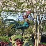 Sandra Holcomb - @sandra.holcomb.37 - Instagram