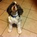 Sandra Holcomb - Facebook