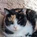 Sandra Holcombe - Facebook