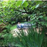 Sandra Hollander - @hollander2024 - Instagram