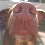 Sandra Hollander - @sandra.hollander.31 - Instagram