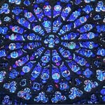 Sandra Hollander Murphy - @murphy48070 - Instagram