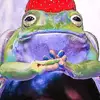 Sandra Holmberg - @sandraholmberg25 - TikTok