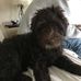 Sandy Holmberg - Facebook
