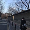 Sandra Hon - @31798962761 - TikTok