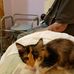 Sandra Hornsby - Facebook