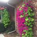 Sandra Sarver-Hostetler - Facebook