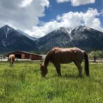 Sandra Settles . Rodger Hostetler - @sheridan.ranch.nv - Instagram