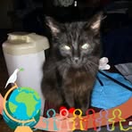 Sandy Howington - Facebook
