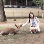 Sandra Hsu - @sandra.hsu - Instagram