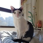 Sandra Hsu - Facebook