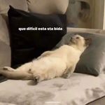 sandra huesca - @huesca_sandra - Instagram