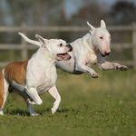 Sandra Daniela Hülsebusch - @sandradanielahulsebusch - Instagram