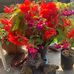 Sandra Hulse - Facebook
