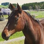 Sandra Hummel - @s.hummelbande - Instagram
