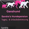 Ganzhund - @hundesandra - TikTok