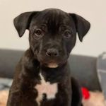 Sandra Hunger - @sandra.hunger.1 - Instagram