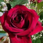 Sandra J Hungate - @hungates - Instagram